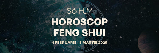 Horoscop Feng Shui - Energiile cosmice ale lunii Februarie 2025 pentru fiecare semn zodiacal