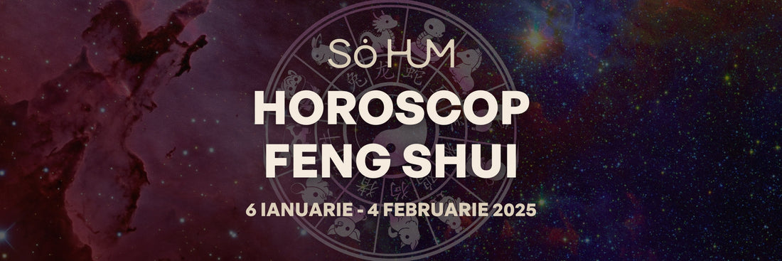 Astrologie FENG SHUI - Energiile cosmice ale lunii Ianuarie pentru fiecare semn zodiacal