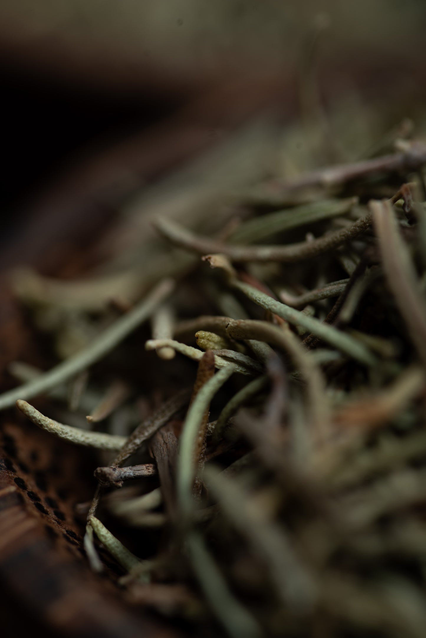 Baghetă S de smudging cu Rozmarin pentru conexiune și protecție spirituală (SAGRADA MADRE – Sahumito)