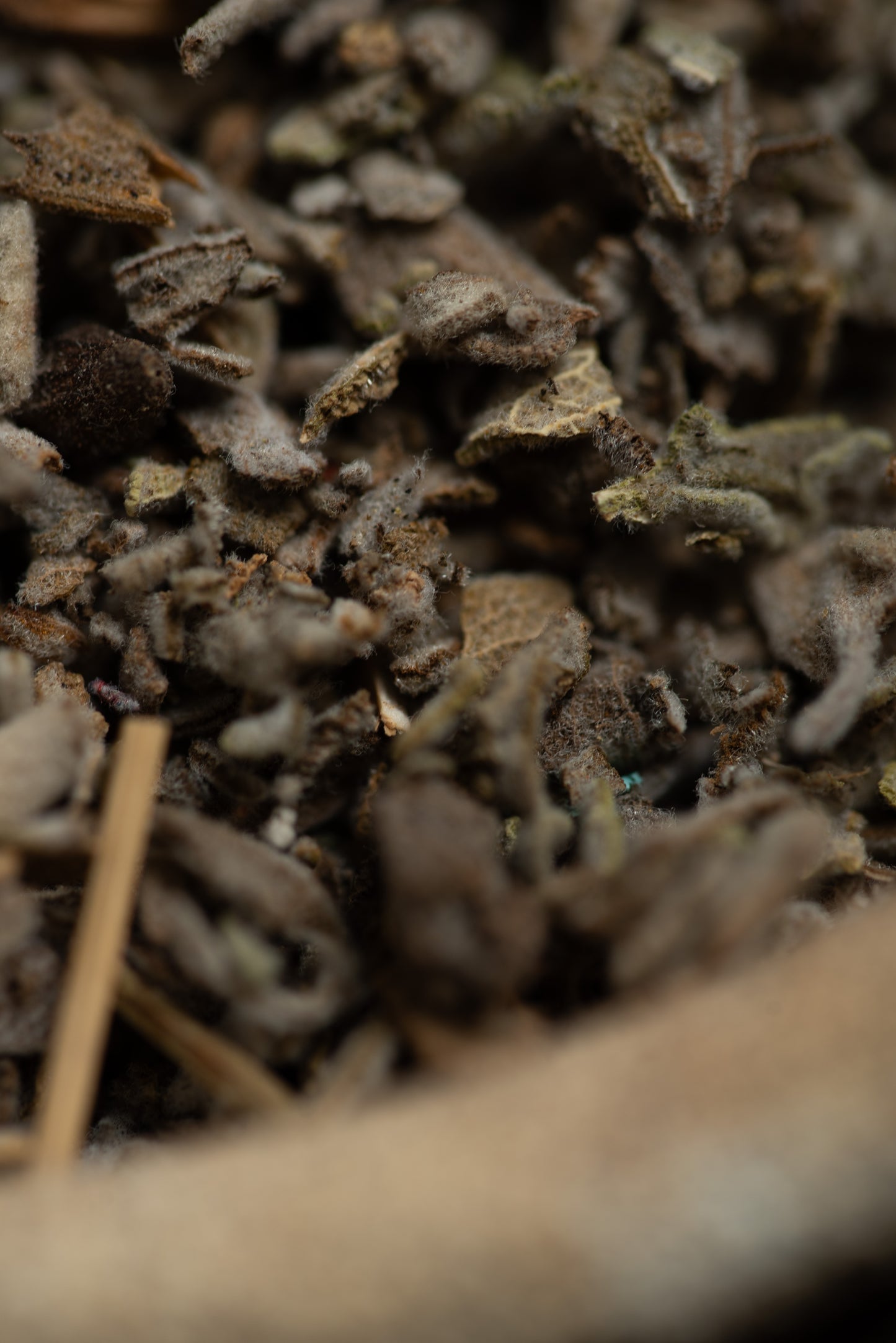 Baghetă S de smudging cu Salvie Albă pentru curățare energetică și vindecare (SAGRADA MADRE – Sahumito)