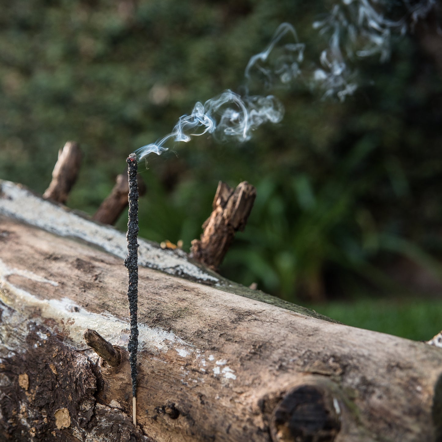 Bețișoare parfumate cu Tămâie pentru purificare și protecție (SAGRADA MADRE - Natural)