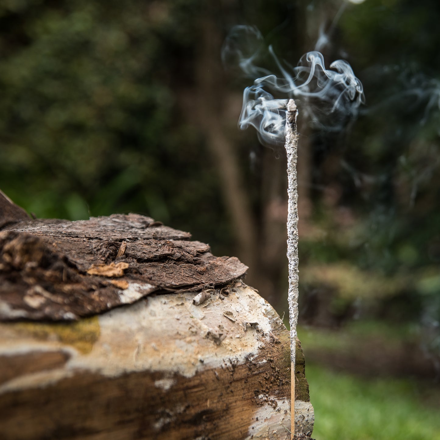 Bețișoare parfumate cu Yagra pentru atragerea banilor (SAGRADA MADRE - Natural)