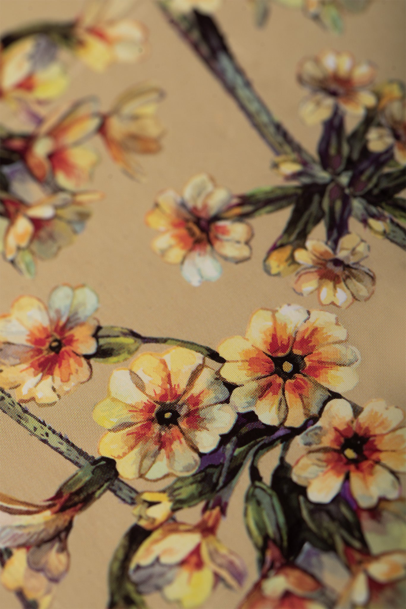 Kit de fumigație pentru Activarea celor 7 energii (SAGRADA MADRE – Humito Sagrado)