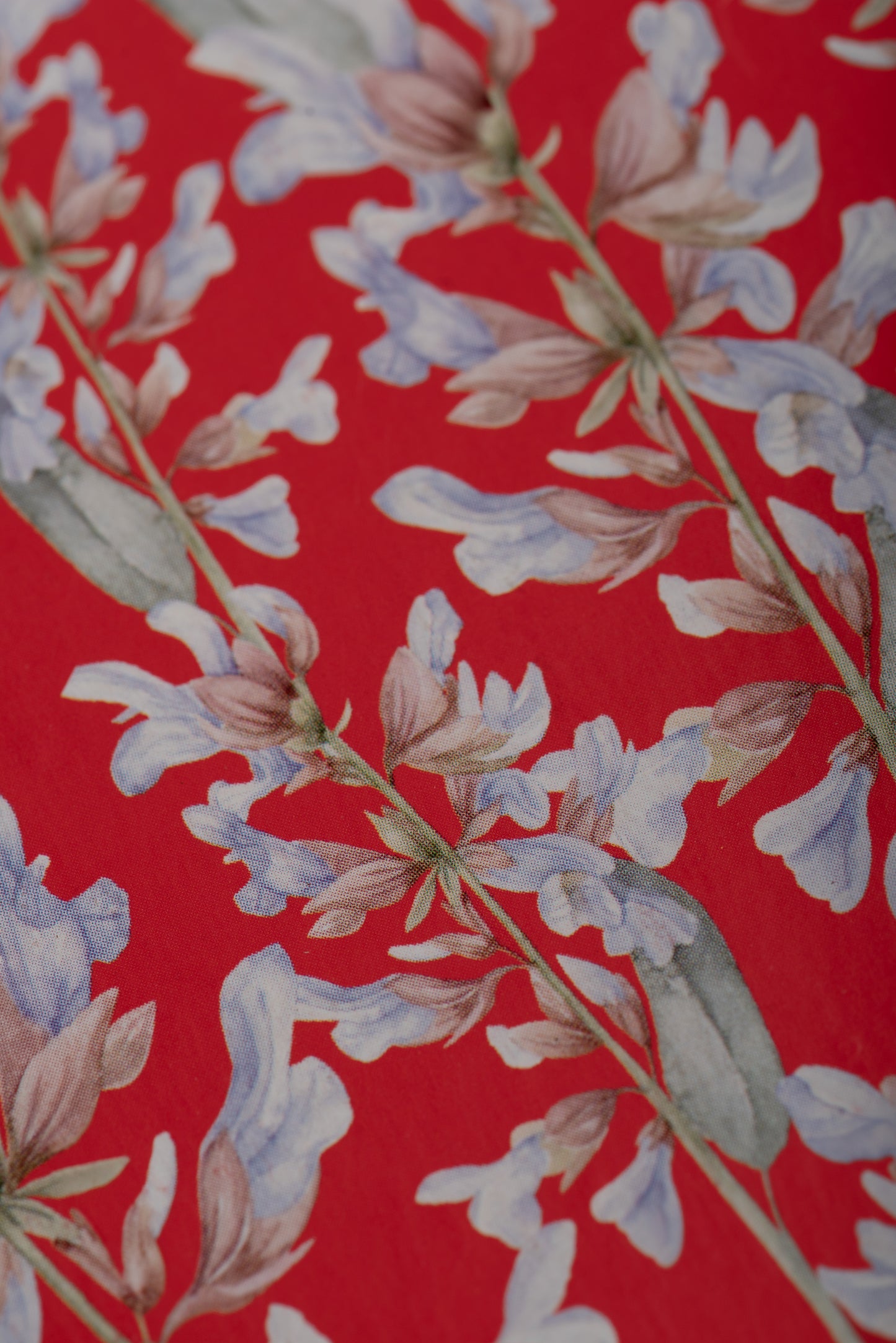 Kit de fumigație pentru Prosperitate (SAGRADA MADRE – Humito Sagrado)