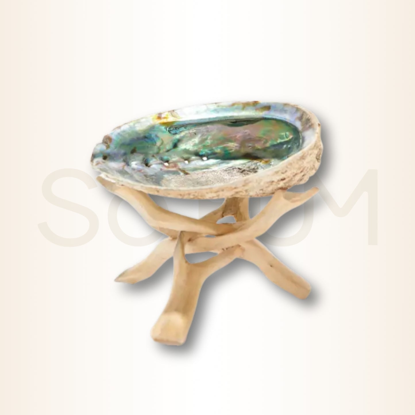Scoica Abalone Suport