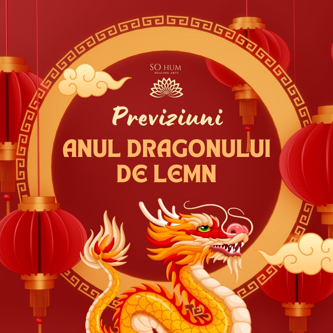 Previziuni si Horoscop Feng Shui 2024