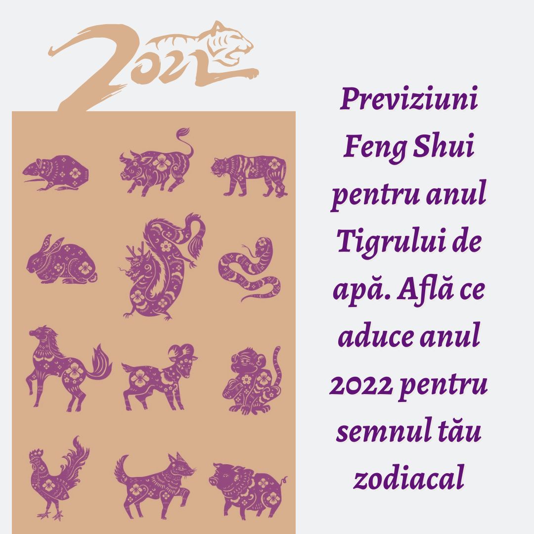 Cum sa atingi succesul in 2022 - Influentele Feng Shui in anul Tigrului de Apa