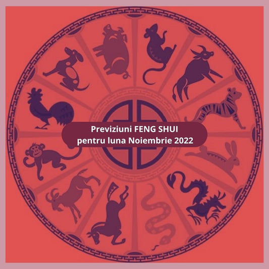 Previziuni Feng Shui pentru luna Noiembrie