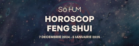 Astrologie FENG SHUI - Energiile cosmice ale lunii Decembrie pentru fiecare semn zodiacal