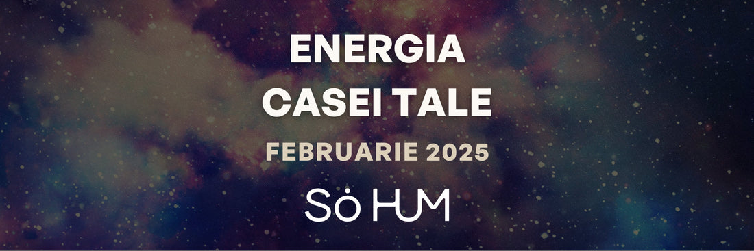 Energiile Cosmice dominante ale lunii Februarie (4 Februarie - 5 Martie 2025)