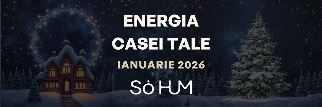 Energiile Cosmice dominante ale lunii Ianuarie (6 Ianuarie 2026 - 3 Februarie 2026)