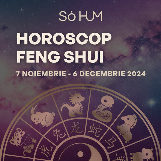 Astrologie FENG SHUI - Energiile cosmice ale lunii Noiembrie pentru fiecare semn zodiacal