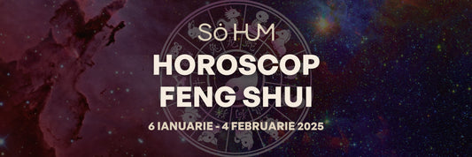 Astrologie FENG SHUI - Energiile cosmice ale lunii Ianuarie pentru fiecare semn zodiacal