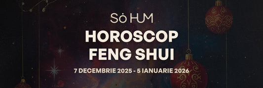 Horoscop Feng Shui - Energiile cosmice ale lunii Decembrie 2025 pentru fiecare semn zodiacal
