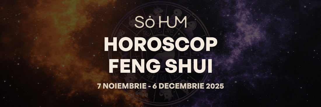 Horoscop Feng Shui - Energiile cosmice ale lunii Noiembrie 2025 pentru fiecare semn zodiacal