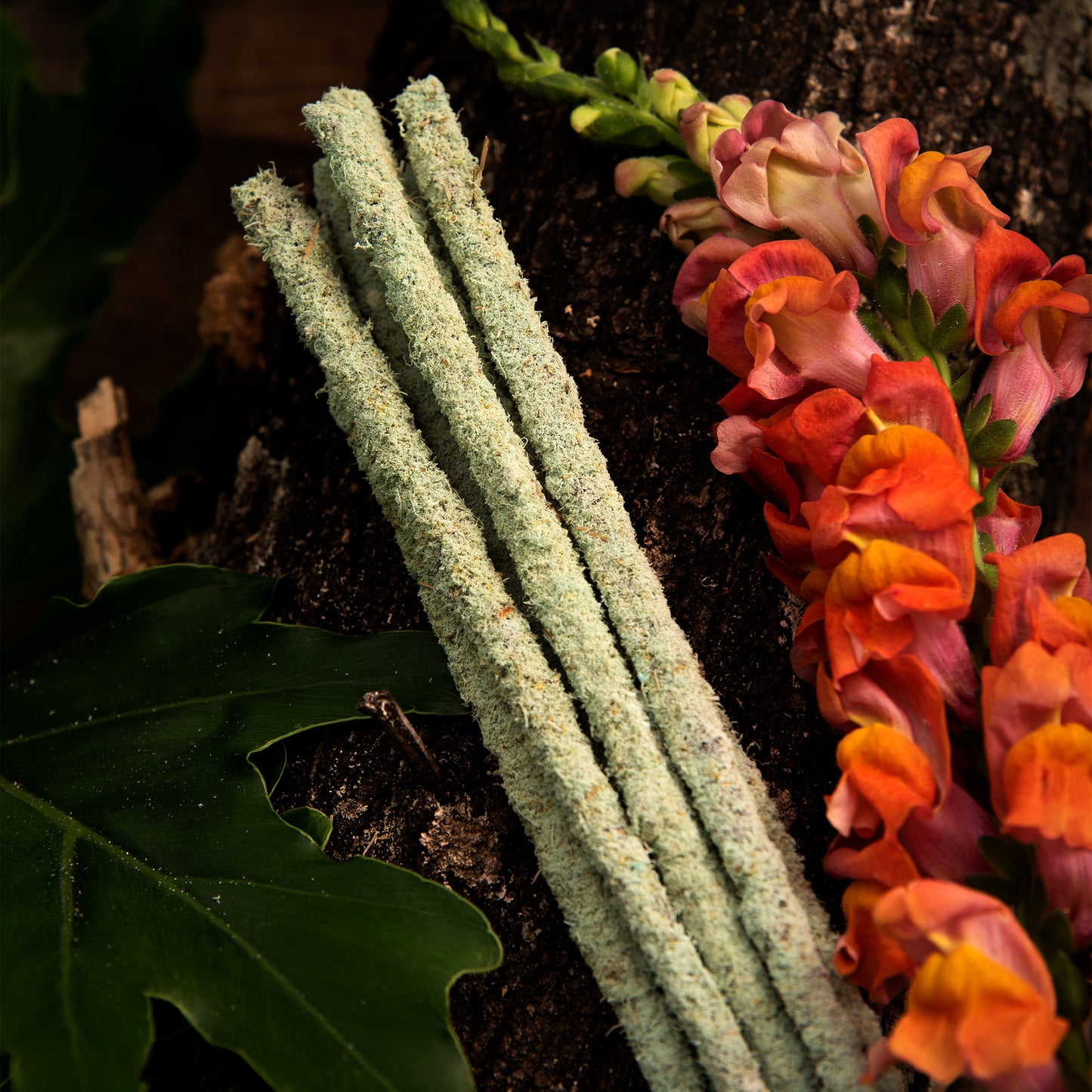 SAGRADA MADRE - Bețișoare de fumigație Botanico