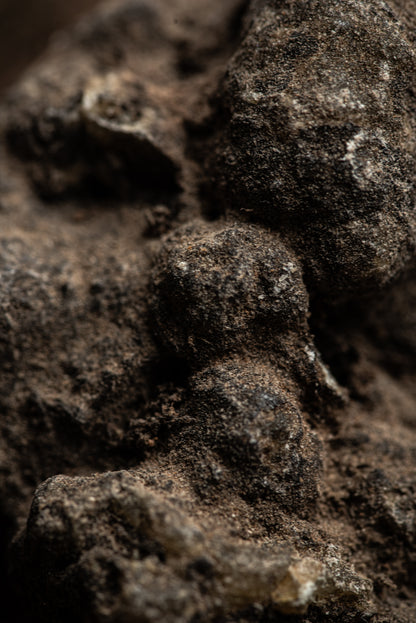 Bețișoare parfumate DUO cu Rozmarin și Copal pentru protecție și conexiune Divină (SAGRADA MADRE – Natural)