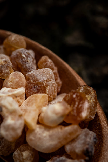 Bețișoare parfumate DUO cu Rozmarin și Tămâie pentru purificare și claritate mentală (SAGRADA MADRE – Natural)