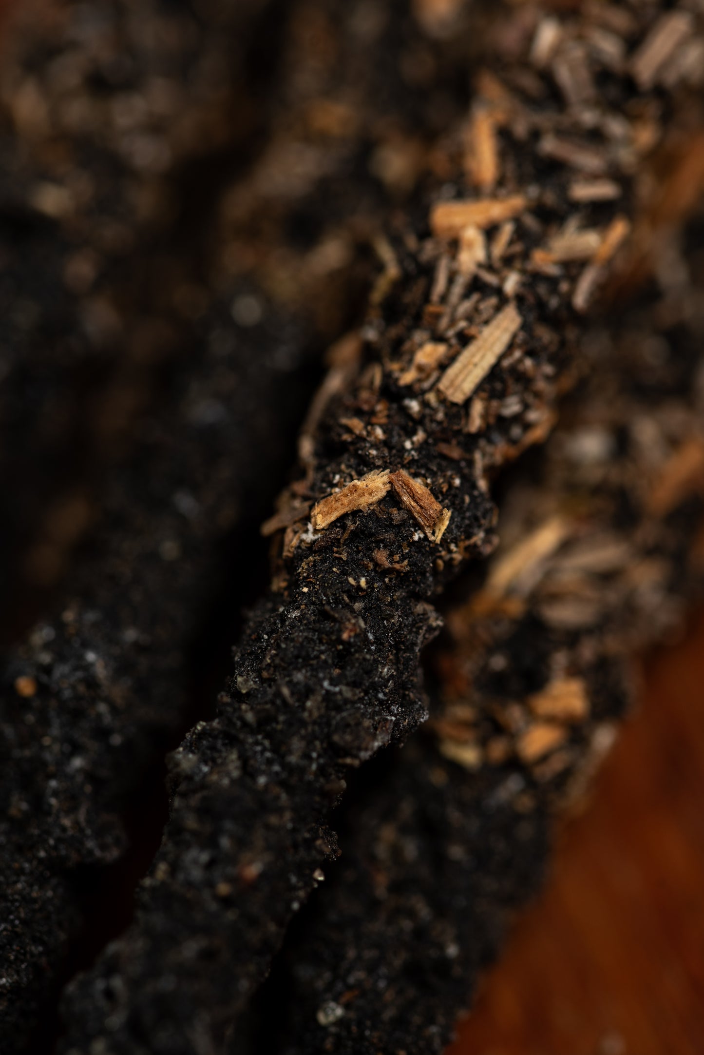 Bețișoare parfumate DUO cu Rozmarin și Tămâie pentru purificare și claritate mentală (SAGRADA MADRE – Natural)