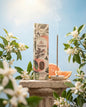 Bețișoare parfumate cu Citronela, Grapefruit și Pomelo pentru energie și creativitate (SAGRADA MADRE – Garden)