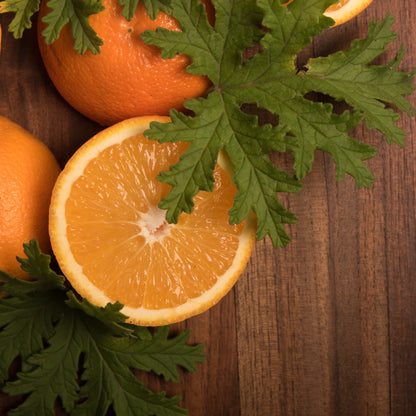 Bețișoare parfumate cu Citronela, Portocală și Palo Santo pentru protecție și energie (SAGRADA MADRE – Natural)