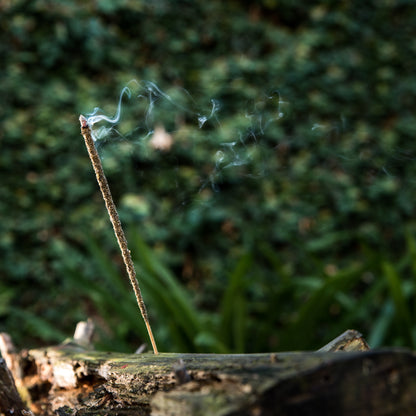 Bețișoare parfumate cu Rozmarin și Ruda pentru energie, transmutare și protecție (SAGRADA MADRE – Natural)