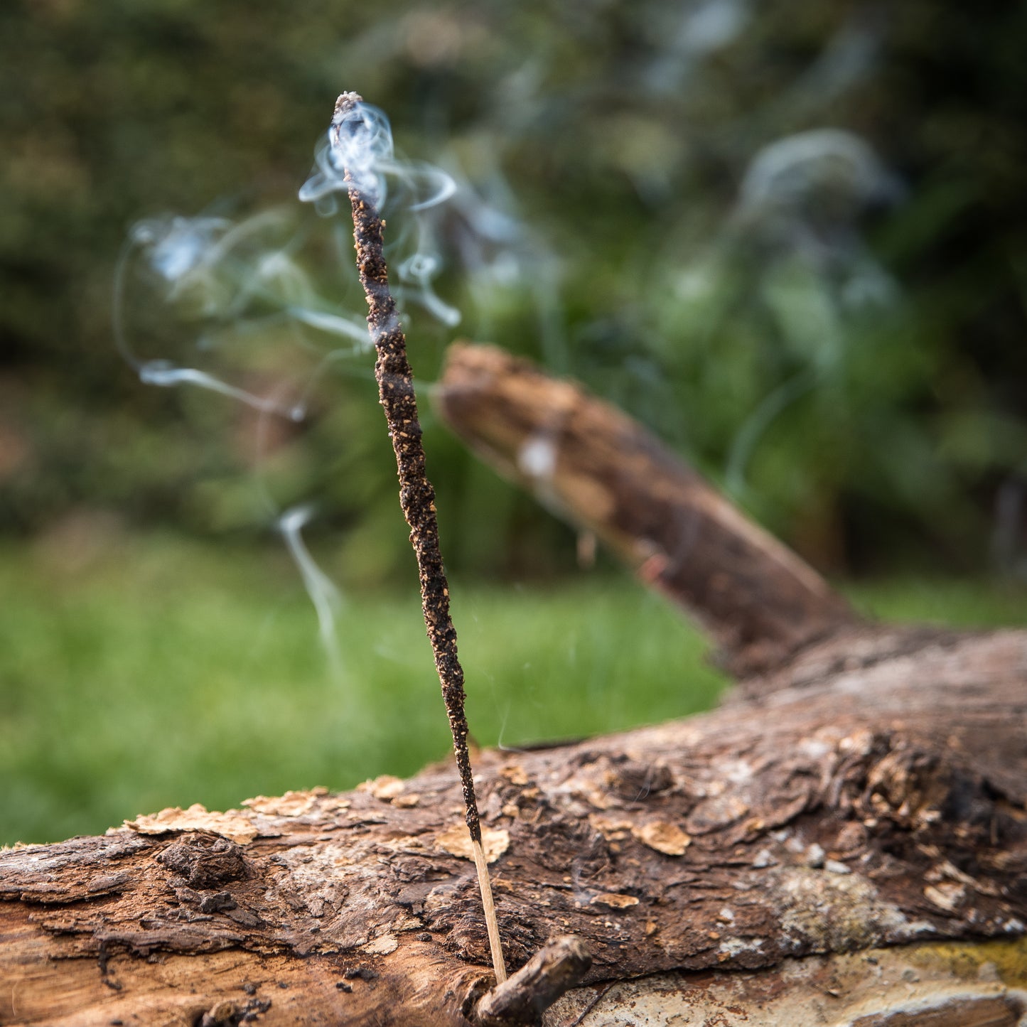 Bețișoare parfumate cu Smirnă pentru vindecare și protecție (SAGRADA MADRE – Natural)