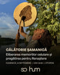 Călătorie șamanică: Eliberarea memoriilor celulare și pregătirea pentru Renaștere