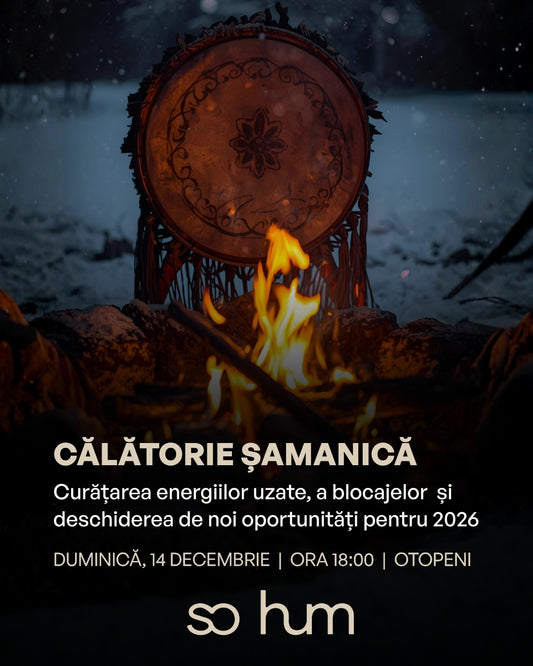 Călătorie Șamanică: Curățarea energiilor uzate, a blocajelor și deschiderea de noi oportunități pentru 2026