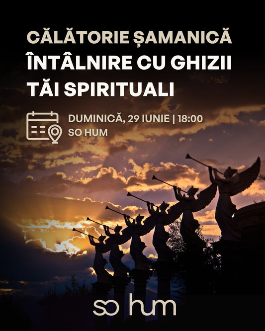 Călătorie Șamanică – Întâlnire cu ghizii tăi spirituali