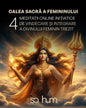 Meditatie Online