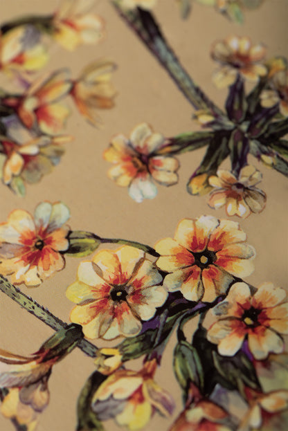 Kit de fumigație pentru Activarea celor 7 energii (SAGRADA MADRE – Humito Sagrado)