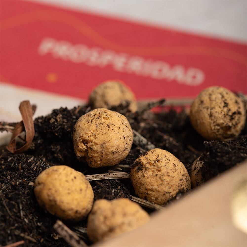 Kit de fumigație pentru Prosperitate (SAGRADA MADRE – Humito Sagrado)