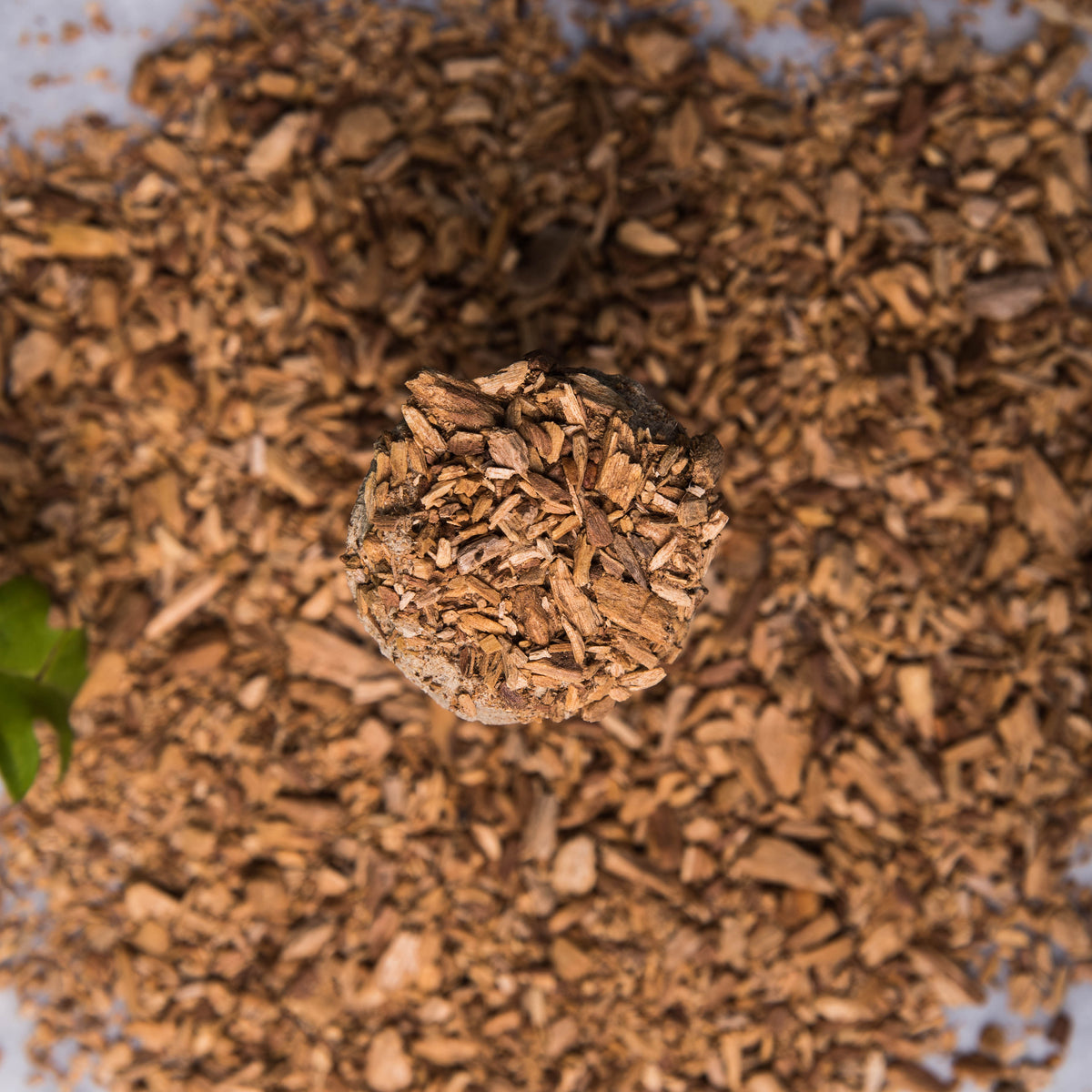 Pastile de fumigație ritualizate cu Palo Santo pentru curățare energetică (SAGRADA MADRE - Defumación Activada X4)