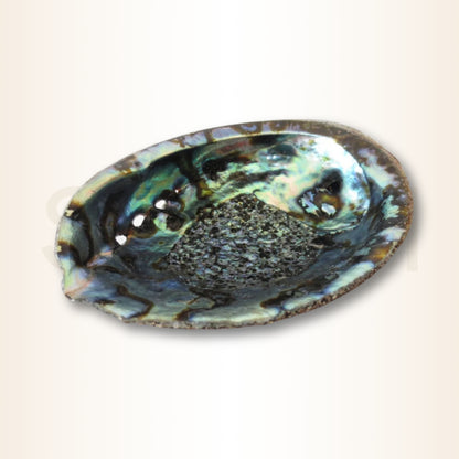 Scoica Abalone Suport
