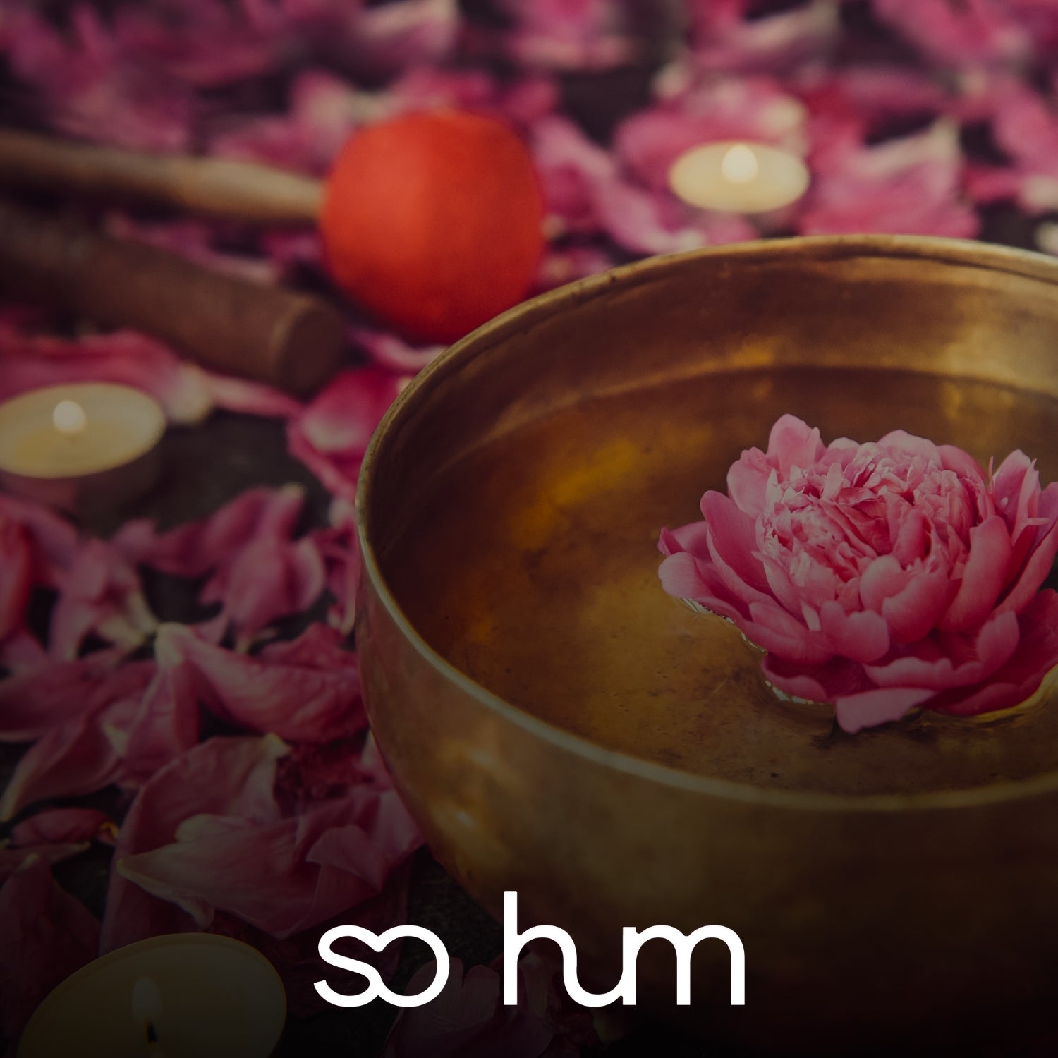 Sound Massage - Terapie prin sunet – SOHUMSTORE.com