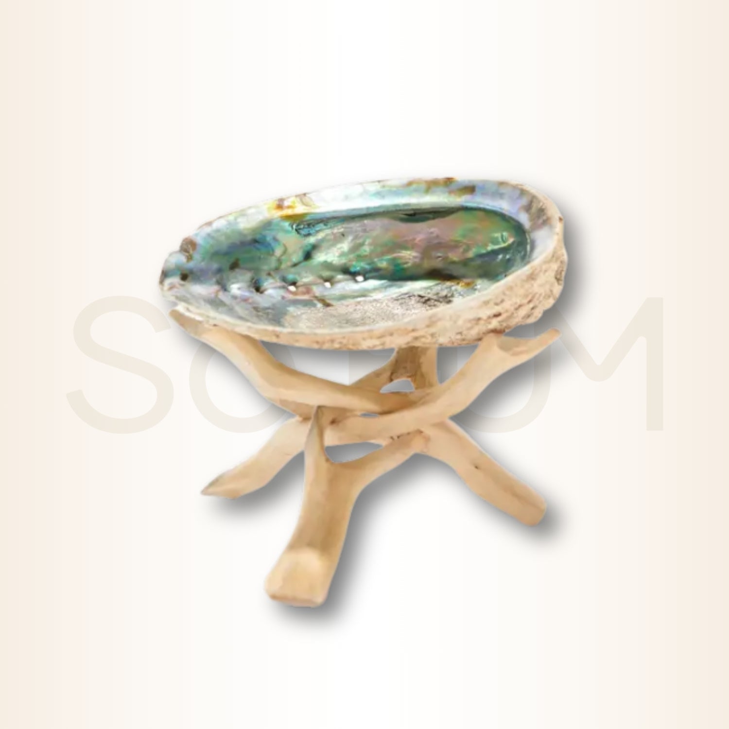 Scoica Abalone Suport