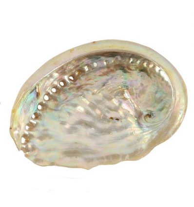 Suport Smudging Scoică Abalone Roz