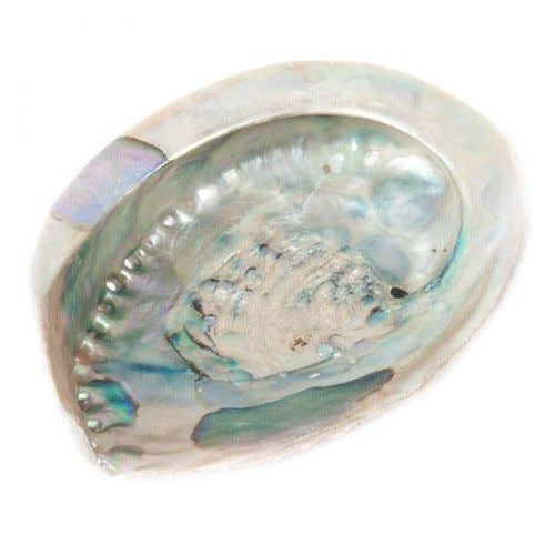 Suport smudging scoica Abalone Alba